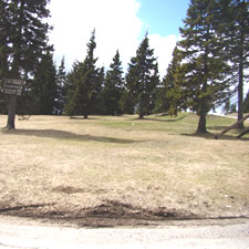 rogla festival družin